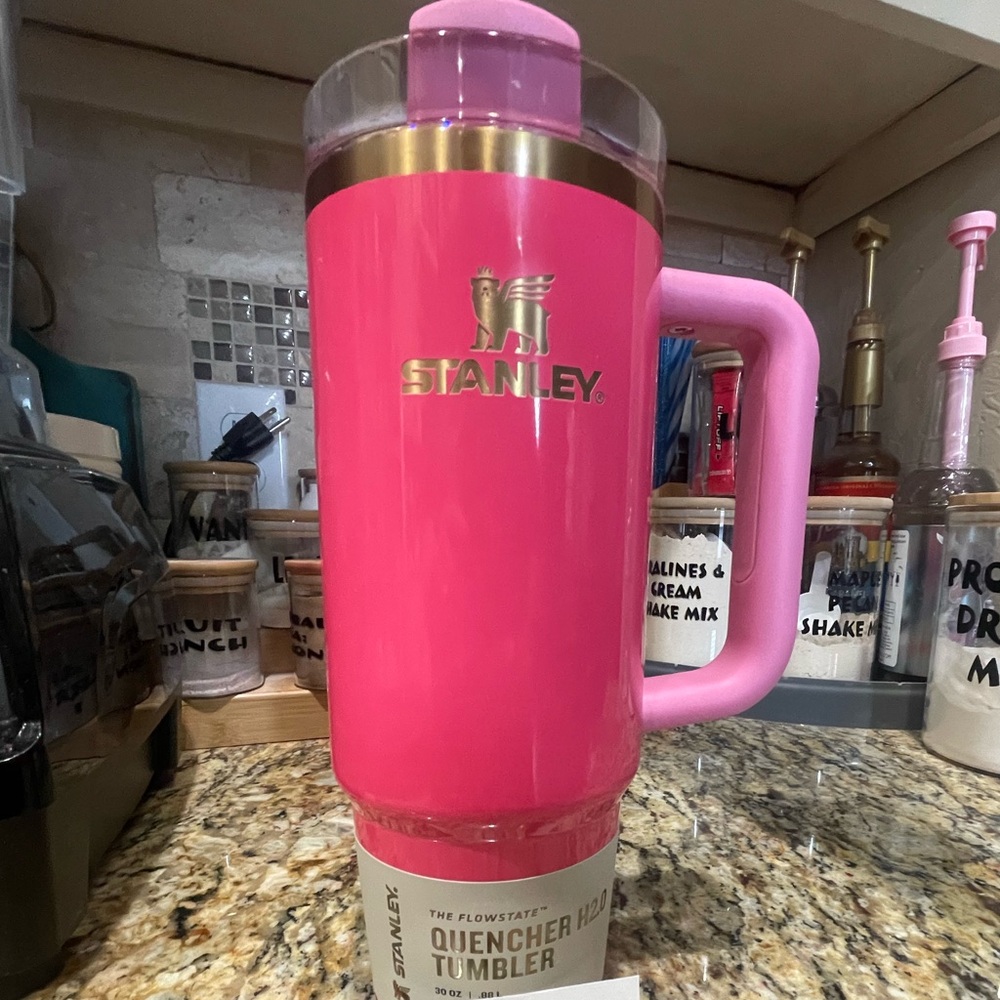 30oz Stanley Pink Parade
